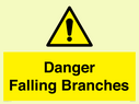 danger-falling-branches~
